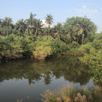 фото из отзыва ID 1962204