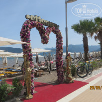 фото из отзыва ID 1961645