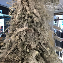 фото из отзыва ID 1966565