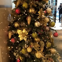 фото из отзыва ID 1966565