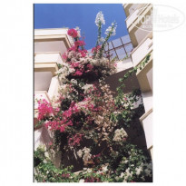 фото из отзыва ID 19728