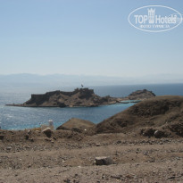 фото из отзыва ID 197204