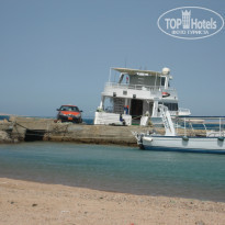 фото из отзыва ID 197459