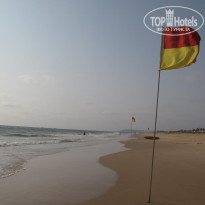 фото из отзыва ID 197531