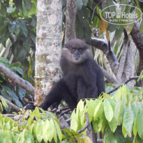 фото из отзыва ID 1970028