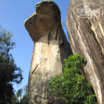 фото из отзыва ID 1970028