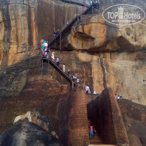 фото из отзыва ID 1970028