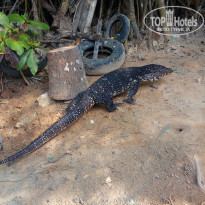 фото из отзыва ID 1970028