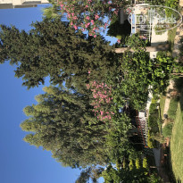 фото из отзыва ID 1970109