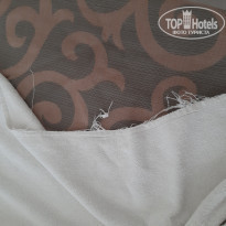 фото из отзыва ID 1970103