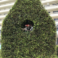 фото из отзыва ID 1970006