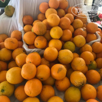 фото из отзыва ID 1970179