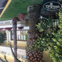 фото из отзыва ID 1970261