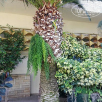 фото из отзыва ID 1970261