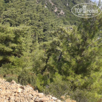 фото из отзыва ID 1970252