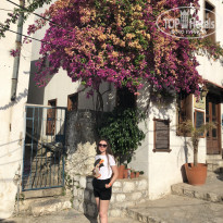 фото из отзыва ID 1970445