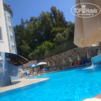 фото из отзыва ID 1970500