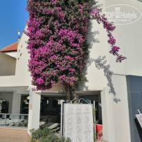 фото из отзыва ID 1970492