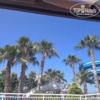 фото из отзыва ID 1970360