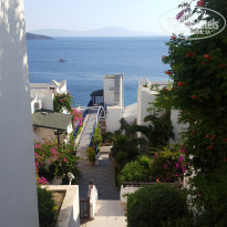 фото из отзыва ID 1970608