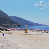 фото из отзыва ID 1970477