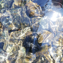 фото из отзыва ID 1970477