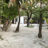 фото из отзыва ID 1970694