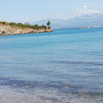 фото из отзыва ID 1970477