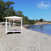 фото из отзыва ID 1970477