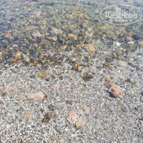 фото из отзыва ID 1970477