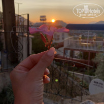 фото из отзыва ID 1970696