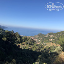 фото из отзыва ID 1970696