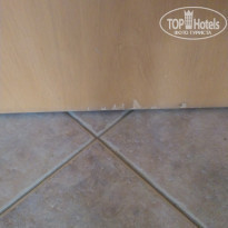 фото из отзыва ID 1970835