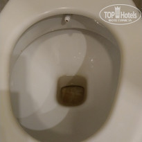 фото из отзыва ID 1970835