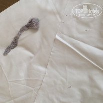 фото из отзыва ID 1970836