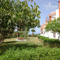 фото из отзыва ID 1970925