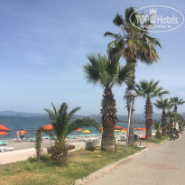 фото из отзыва ID 1970932