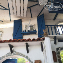 фото из отзыва ID 1971010