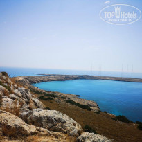 фото из отзыва ID 1971010