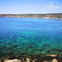 фото из отзыва ID 1971010