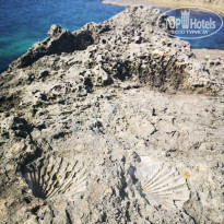 фото из отзыва ID 1971010