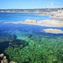 фото из отзыва ID 1971010