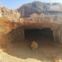 фото из отзыва ID 1971010