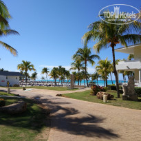 фото из отзыва ID 1971094