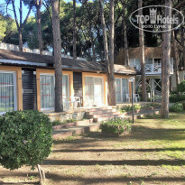 фото из отзыва ID 1971128