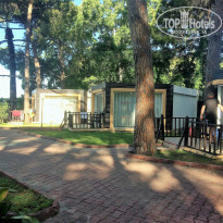 фото из отзыва ID 1971128