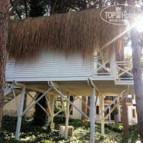 фото из отзыва ID 1971128