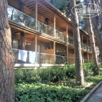 фото из отзыва ID 1971128