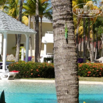 фото из отзыва ID 1971094