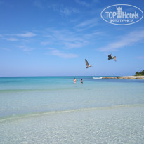 фото из отзыва ID 1971094